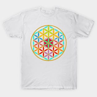 Sacred Geometry Funkiness T-Shirt